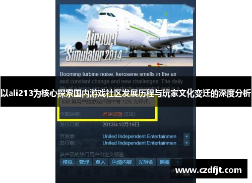 以ali213为核心探索国内游戏社区发展历程与玩家文化变迁的深度分析