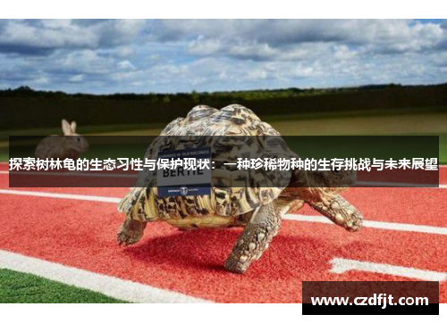 探索树林龟的生态习性与保护现状：一种珍稀物种的生存挑战与未来展望