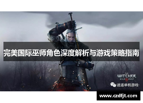 完美国际巫师角色深度解析与游戏策略指南